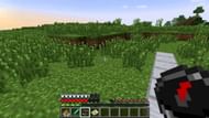 Players can find the northern direction of a world without using any items (Image via Mojang)